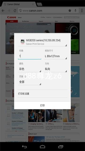 d88尊龙z6