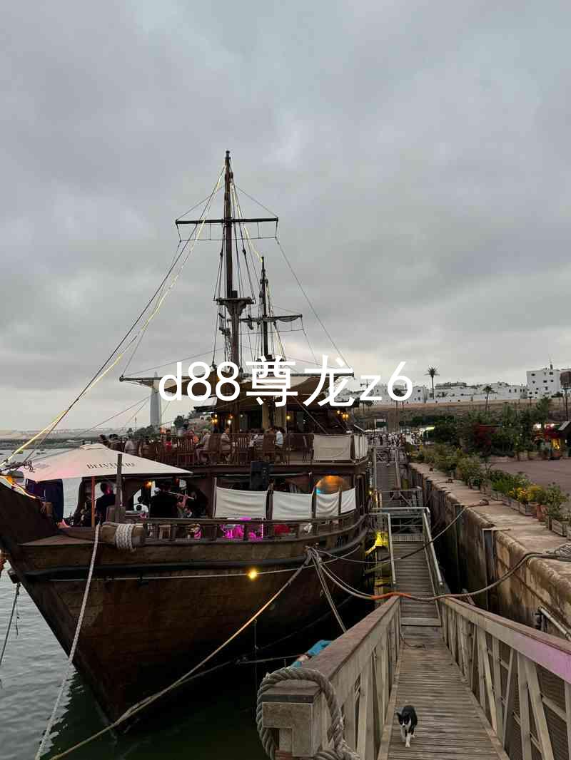 d88尊龙z6